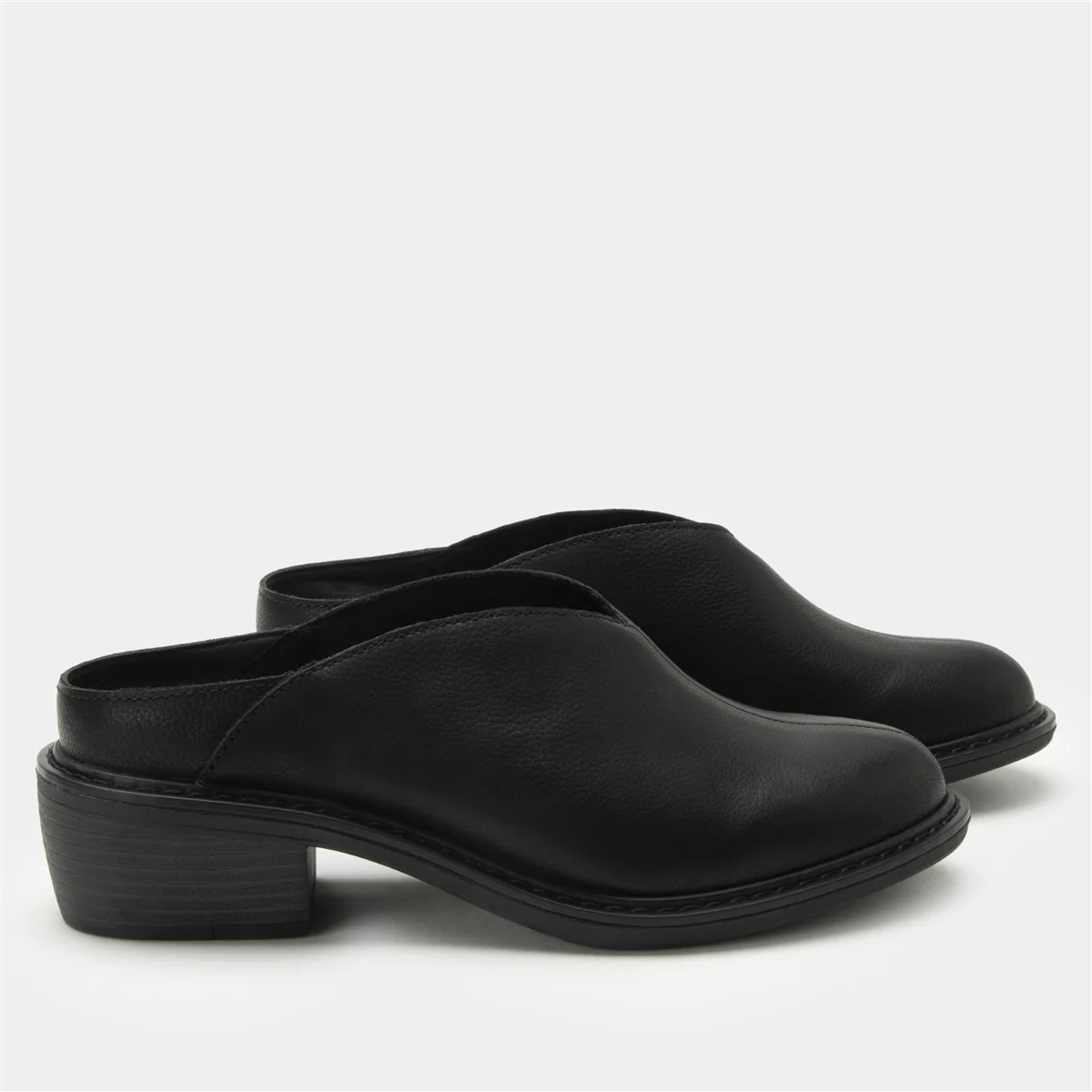 Alegria Michy Black Bird